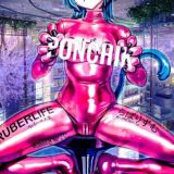 AW.ANIME / MiSide / zenless zone zero / genshin impact