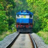 🌳Nilambur mates🌲🌴