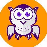 BUBO-КВИЗ
