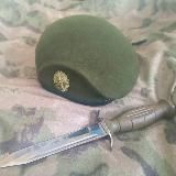 Хроники Мобилизованного