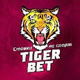 TIGER BET 👑