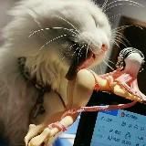 𝕨𝕘𝕞_𝕞𝕦𝕫⚜️