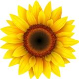 Процветание