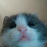 вареники с вишней