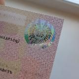 Помощь в получении водительских