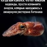 Ракета изобилия 🚀