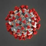 Мамонт — NEWS