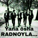 😎😎RADNOYLAR😎😎