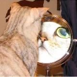 Околобьюти👄👁️💇🏼♀️