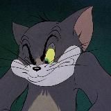 Кошачьи лапки | Резиденция Любви ❤️🔥