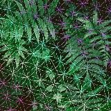 ૐATMASPHERICA♪♫♬