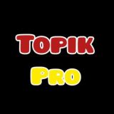 Topik Pro (chat)