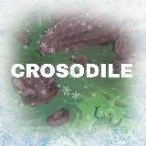 Кроссовки «Crosodile»
