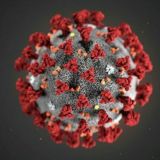 Koronavirus Info Chat | Uyda Qoling!