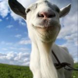 Скачать Симулятор Козла взлом