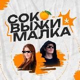 Соковыжималка 🍊