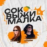 Соковыжималка 🍊