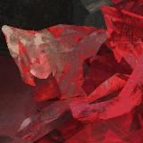 Сволочь и Борщ