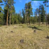 Для создания правильного мировоззрения