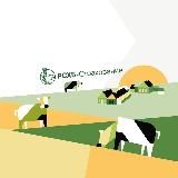 РСХБ–Страхование