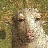 Мои любимые тиктоки