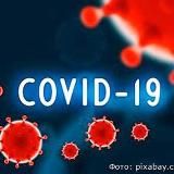 Корона вирус 🦠