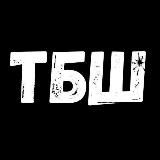 Теория Большого Шока (черновик)