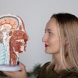 AVESSTUDY|Кинезиотерапия|Реабилитация| Для специалистов| Для тела| Для жизни| Обучение