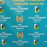 Оперативная информация ЕДДС Стрежевого