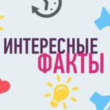 Интересные факты💡