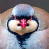 Половинку никто не пишет