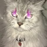 переходник zuchi3