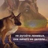 Цитатник ПсковГУ