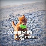 Есюха два уха🐾🐩