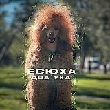 Есюха два уха🐾🐩