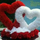 ❤️🅣̻͜͡🅐̻̻͜͡🅝̻̻̻͜͡🅗̻̻̻̻͜͡🅞̻̻̻̻̻͜͡🅖̻̻̻̻̻͜͡🅘̻̻̻̻͜͡🅝̻̻̻͜͡🅐̻̻͜͡🅜̻❤️