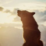 Анна Клирик · творческие (бес)порядки | 18+ | 🇷🇺