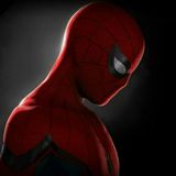 SPIDER MAN AND MARVEL COMICS