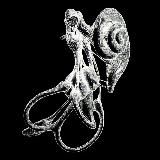 ▪️◾️🔲DEVOURING LIGHT🔲◾️▪️