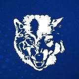 ФК «Ислочь» 🐺