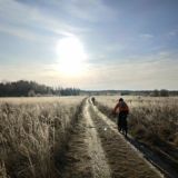 Шерстяной чат