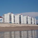 Выборы 11 сентября 2022