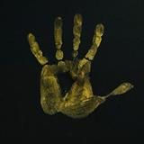 Тереза Таро | Гадание Видео