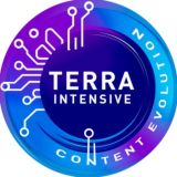 Terra Content Evolution - чат