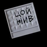 Стена Цоя: клипы и концерты