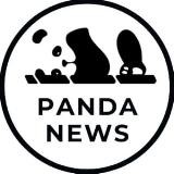 Panda🐼News|Новости|Политика