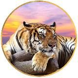 POWER of NATURE продолжения