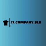 17.company.blr