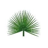 Дзен Южного Берега