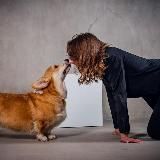 Чокнутый собачник